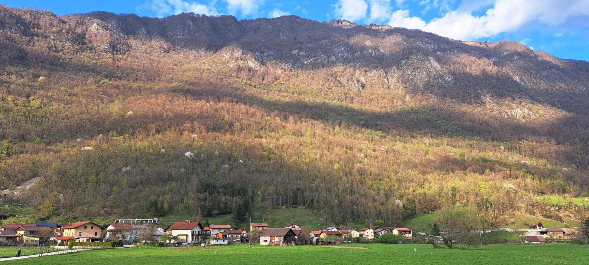 Valdi Tolmin